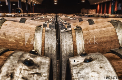 wine barrels 1.jpg